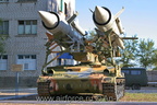 IMG 7585
