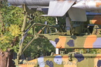 IMG 7588