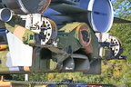 IMG 7590