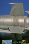 IMG 7599